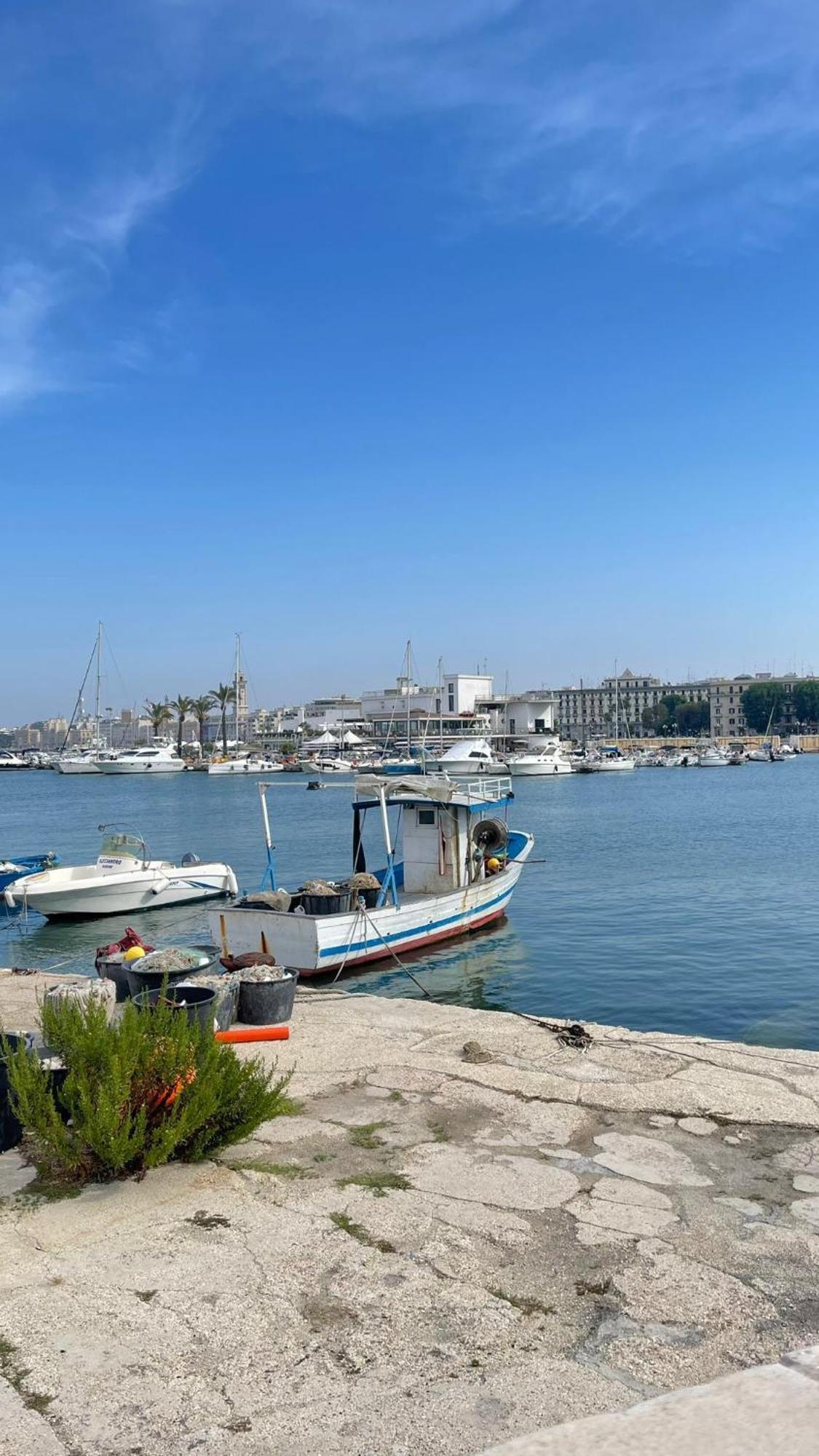 Locazione Turistica Madera Hotel Bari Eksteriør billede